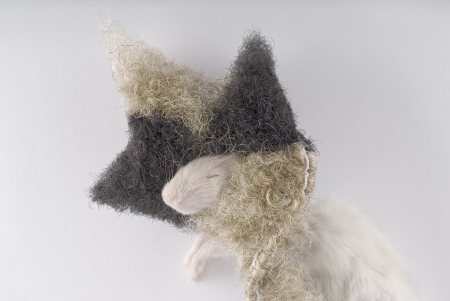 Copyright-Larry-Dunstan-Rat-With-Wig-1200